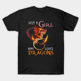 Fun Just a Girl Who Loves Dragons and Girls T-Shirt